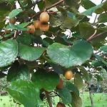 Auf Dem Bauernhof La Printaniere - Fruehlingsfrau By Interhome Hébergement de vacances Varneville-Bretteville