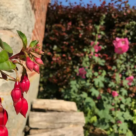 Auf Dem Bauernhof La Printaniere - Fruehlingsfrau By Interhome Hébergement de vacances