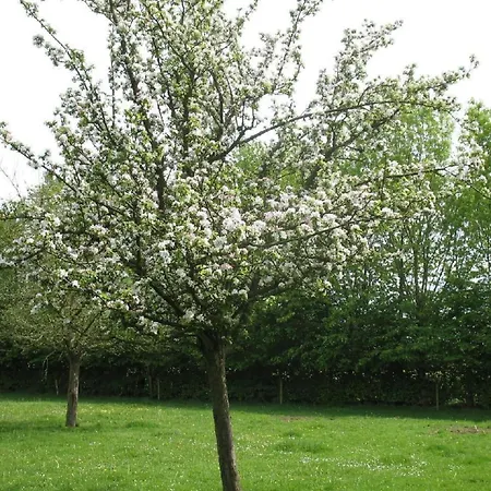 Auf Dem Bauernhof La Printaniere - Fruehlingsfrau By Interhome *