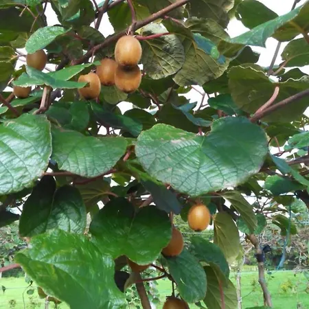 Auf Dem Bauernhof La Printaniere - Fruehlingsfrau By Interhome Hébergement de vacances Varneville-Bretteville
