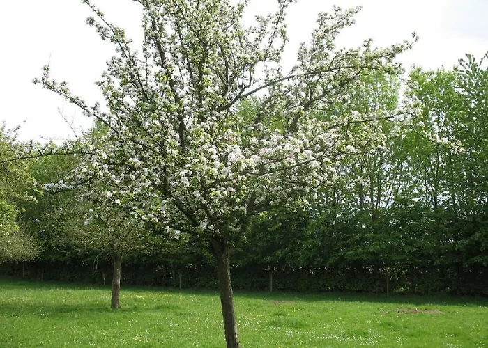 Auf Dem Bauernhof La Printaniere - Fruehlingsfrau By Interhome *