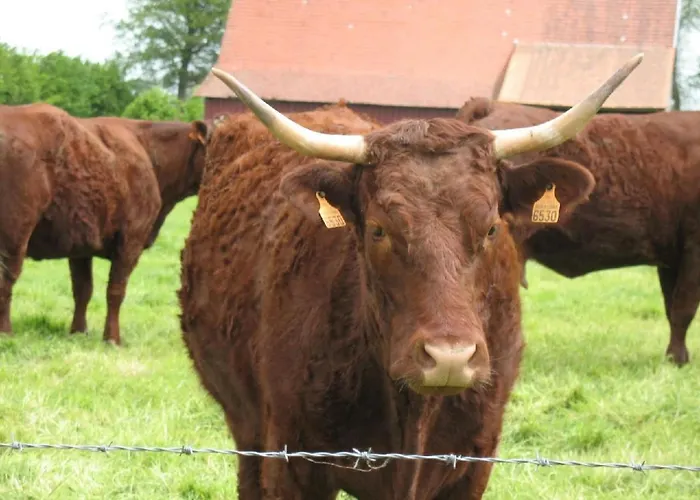 Hébergement de vacances Auf Dem Bauernhof La Printaniere - Fruehlingsfrau By Interhome