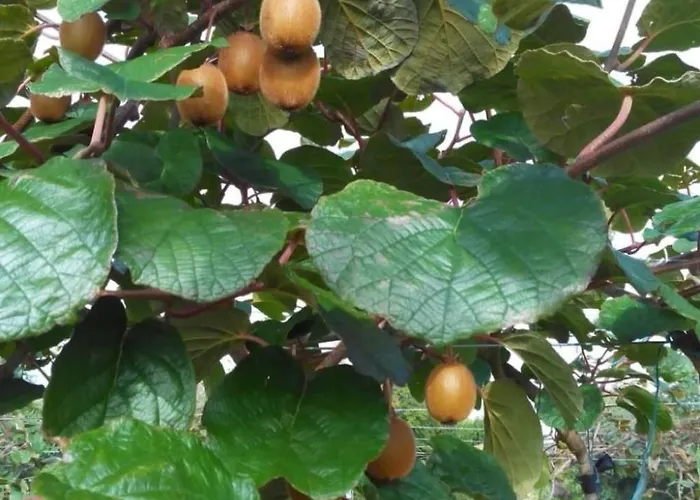 Auf Dem Bauernhof La Printaniere - Fruehlingsfrau By Interhome Σπίτι διακοπών Varneville-Bretteville